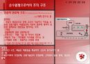 조직성장(수명주기 모형 성장주기 모형) 28페이지