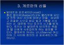 게르만 신화의 이해 10페이지