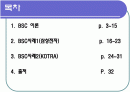 성과평가(BSC)이론과 사례-인적자원관리 2페이지