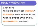 성과평가(BSC)이론과 사례-인적자원관리 28페이지
