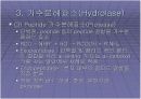   미생물의_효소  4페이지