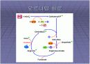   미생물의_효소  18페이지