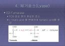   미생물의_효소  24페이지