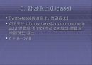   미생물의_효소  32페이지