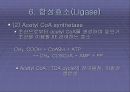   미생물의_효소  34페이지