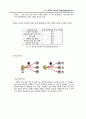 스타벅스의 SCM을 이용한 보성녹차의 SCM 32페이지