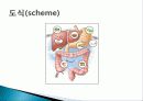 피아제의 인지발달이론 ppt 발표자료 6페이지