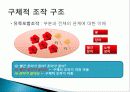 피아제의 인지발달이론 ppt 발표자료 22페이지