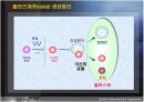 PDP(Plasma Display Panel) 7페이지