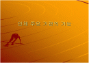 인체 주요 기관의 기능 1페이지