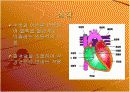 인체 주요 기관의 기능 13페이지