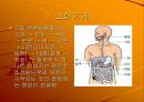 인체 주요 기관의 기능 21페이지