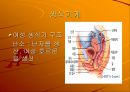 인체 주요 기관의 기능 27페이지