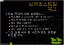 브레인스토밍회의 5페이지