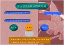 현대 사회의 이해 6페이지