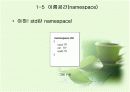 C 기반의 C++ 1 15페이지