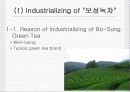 스타벅스 SCM 분석과 보성녹차의 SCM 설계 20페이지