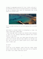 한국기업의 글로벌 경영 7페이지