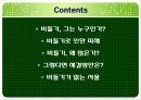 서울시의 과다한 비둘기의 폐해와 그 해결방안(파워포인트 발표 자료) 2페이지