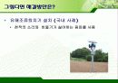 서울시의 과다한 비둘기의 폐해와 그 해결방안(파워포인트 발표 자료) 23페이지