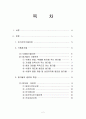 인스턴트(가공식품) 식품속 첨가물의 종류와 특징 2페이지