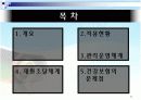 의료보험 민영화에 따른 문제점과 해결방안 5페이지
