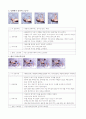 웨이트 트레이닝 방법 2페이지