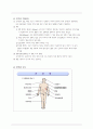 LC (Liver Cirrhosis ; 간경화) 2페이지