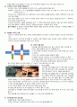 코카인과 암페타민 3페이지
