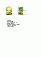   LSD와 기타 환각제  7페이지