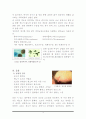 성병-(비임균성요도염) 4페이지
