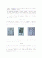   조선시대의 모자  6페이지