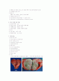 자궁근종(uterine myoma) 4페이지