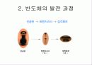 반도체의 발전 현황 5페이지
