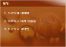 프라하의 옛 시가지 2페이지