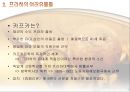 프라하의 옛 시가지 23페이지