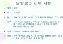 그라나다의 옛 시가지 알람브라 궁전과 헤네랄리페 궁전 4페이지