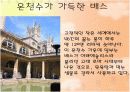 배스의 시가지를 찾아서 13페이지