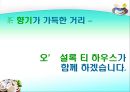 [마케팅관리]웰빙 프랜차이즈 오 설록 티하우스마케팅전략(A+리포트) 88페이지