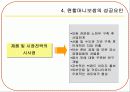 원할머니보쌈 성공요인 11페이지