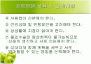 피임에 대하여 12페이지