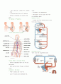 순환계 Circulation Chapter 33 Circulatory System 4페이지