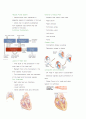 순환계 Circulation Chapter 33 Circulatory System 5페이지
