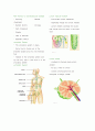 순환계 Circulation Chapter 33 Circulatory System 8페이지