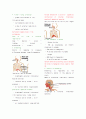 호흡계 THE  RESPIRATORY  SYSTEM Chapter 35 3페이지