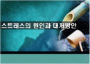 스트레스의 원인과 해결방안  1페이지