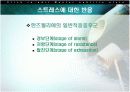 스트레스의 원인과 해결방안  8페이지