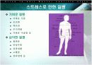 스트레스의 원인과 해결방안  14페이지