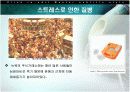 스트레스의 원인과 해결방안  15페이지