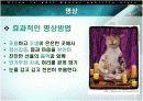 스트레스의 원인과 해결방안  20페이지